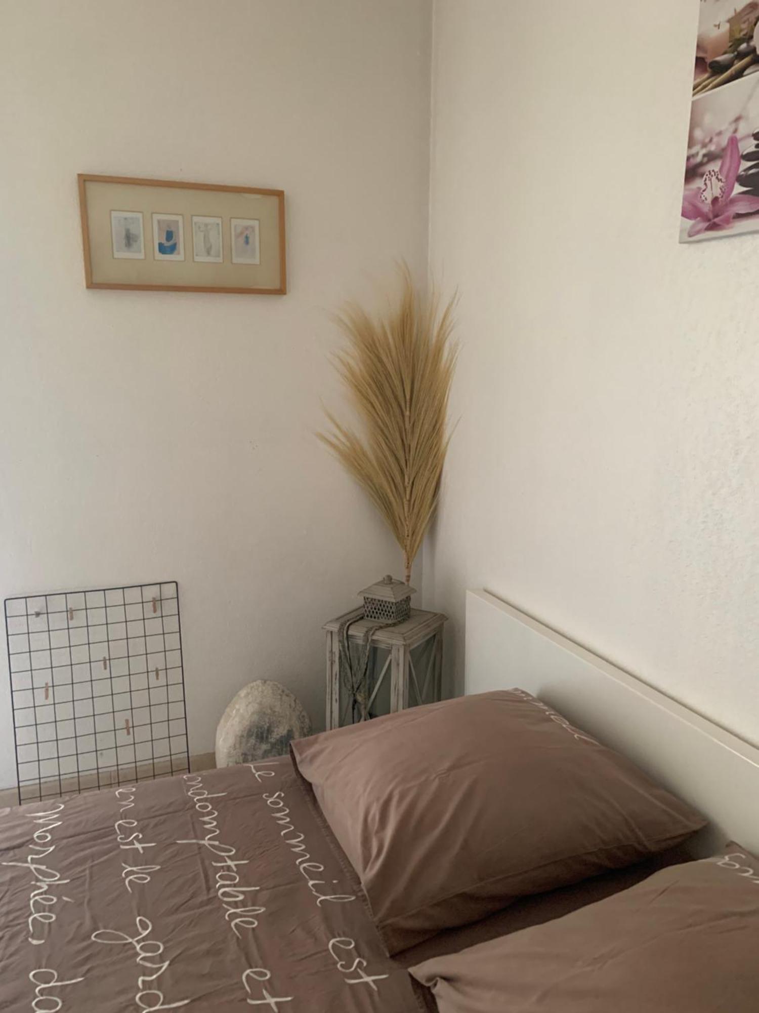 Votre Sejour Cosy A Frejus! Fréjus Exterior foto